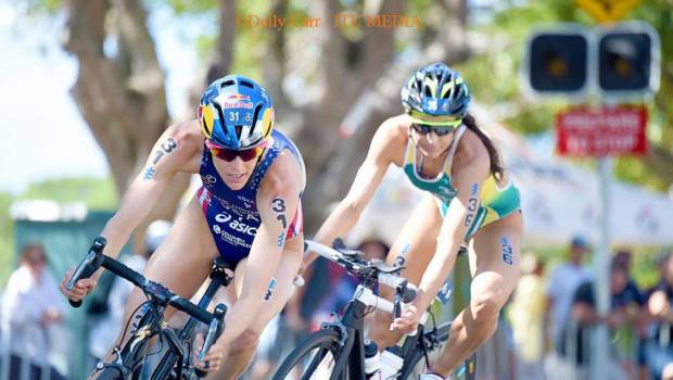 wts gold coast jorgensen nest invincible