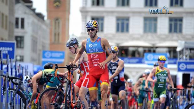 wts hambourg mola duffy imperiaux