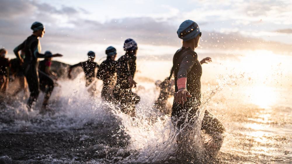 deja plus de 500 inscrits sur le tradeinn 140 6inn