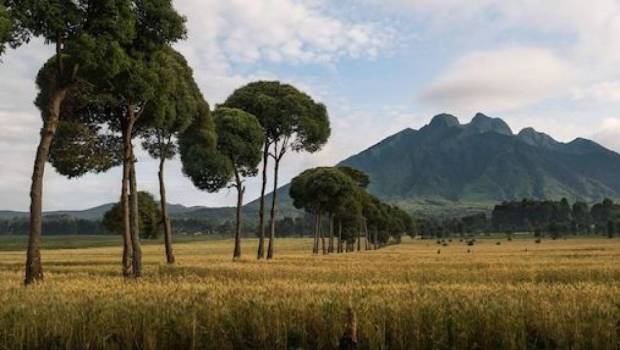 un ironman 70 3 au rwanda en aout 2022