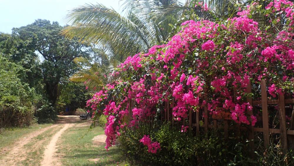 triathlon royaume cambodge
