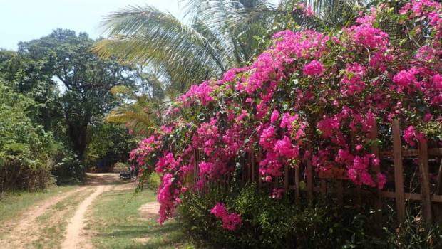 triathlon royaume cambodge